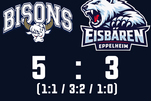 Eisbären unterliegen den Bisons